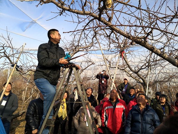 新澳门免费公开资料大全