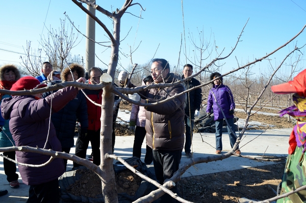 新澳门免费公开资料大全