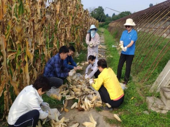 新澳门免费公开资料大全