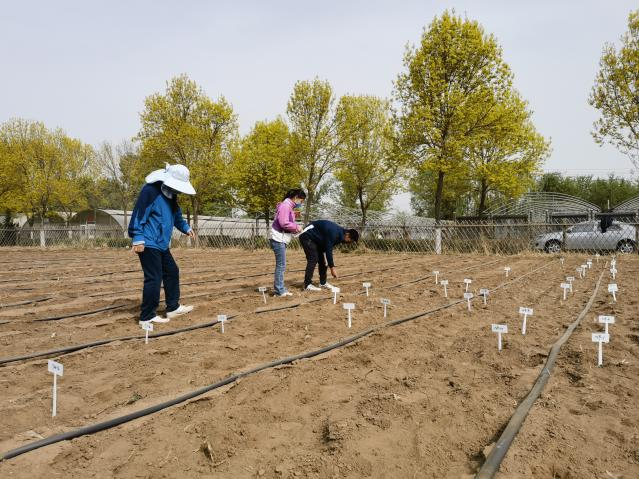 新澳门免费公开资料大全