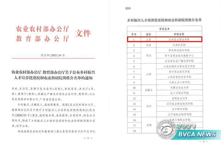 新澳门免费公开资料大全