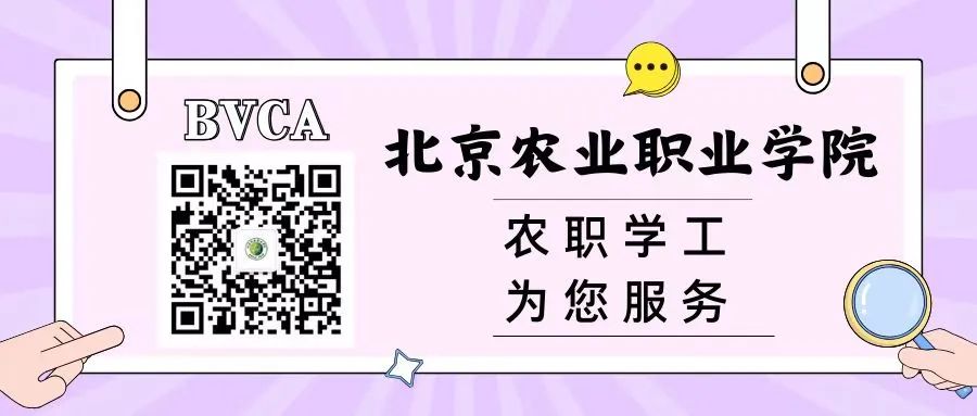 新澳门免费公开资料大全