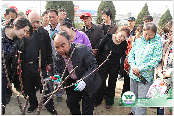 新澳门免费公开资料大全