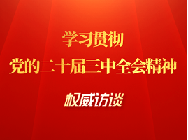 学习贯彻党的二十届三中全会精神权威访谈