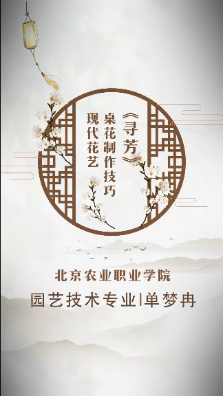 新澳门免费公开资料大全