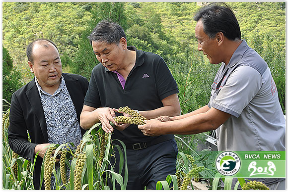 新澳门免费公开资料大全