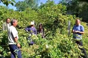 新澳门免费公开资料大全