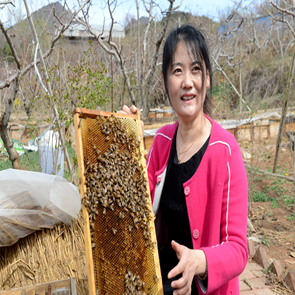 新澳门免费公开资料大全