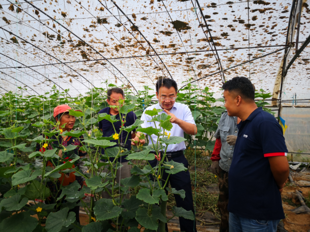 新澳门免费公开资料大全