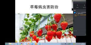 新澳门免费公开资料大全