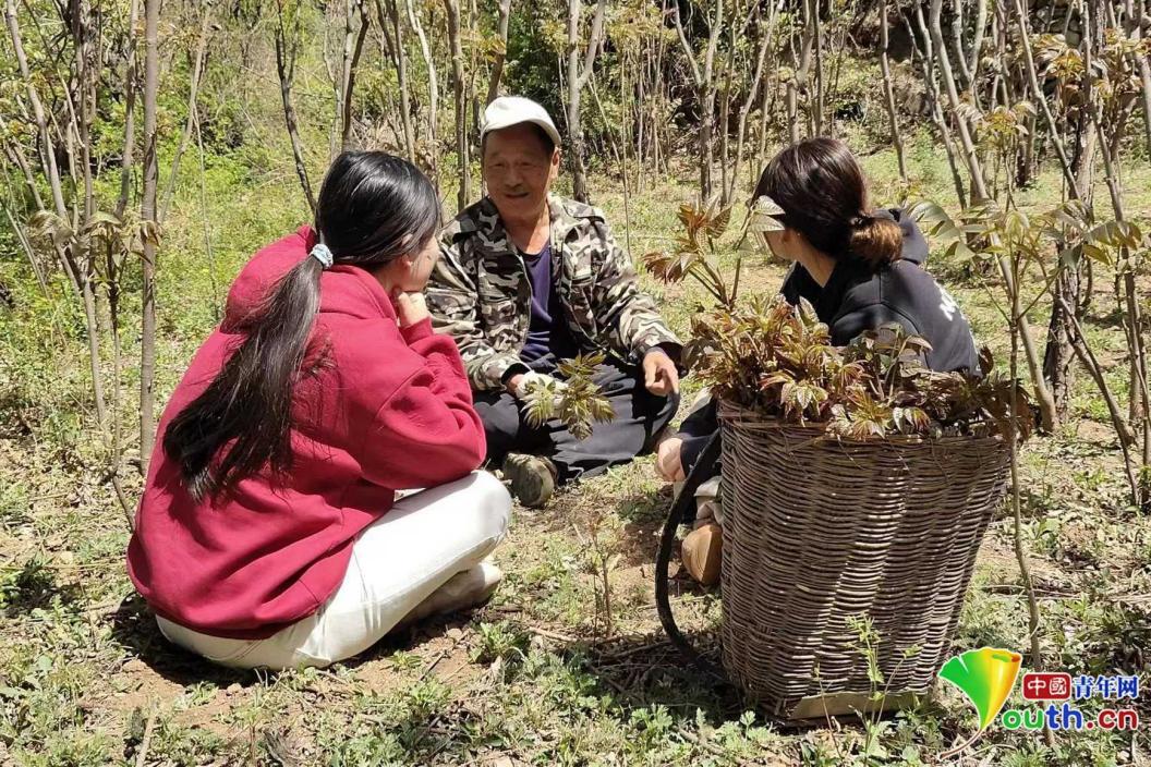 新澳门免费公开资料大全