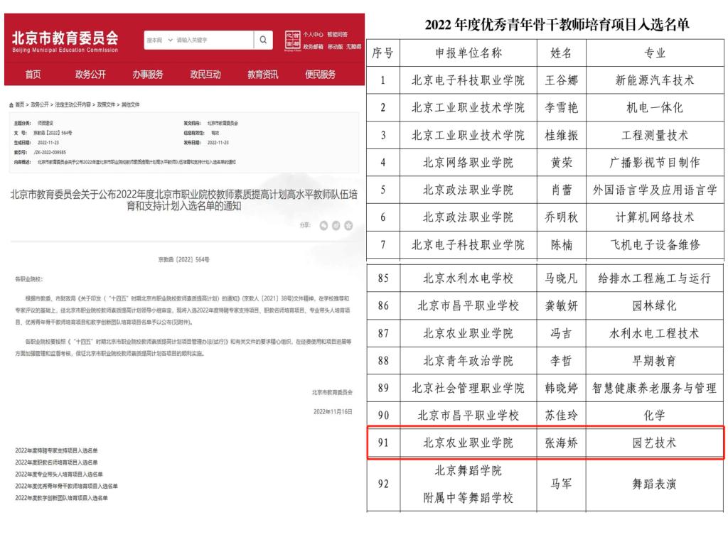 新澳门免费公开资料大全