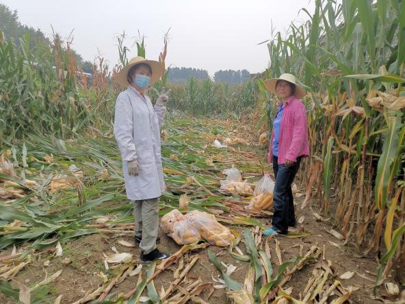 新澳门免费公开资料大全