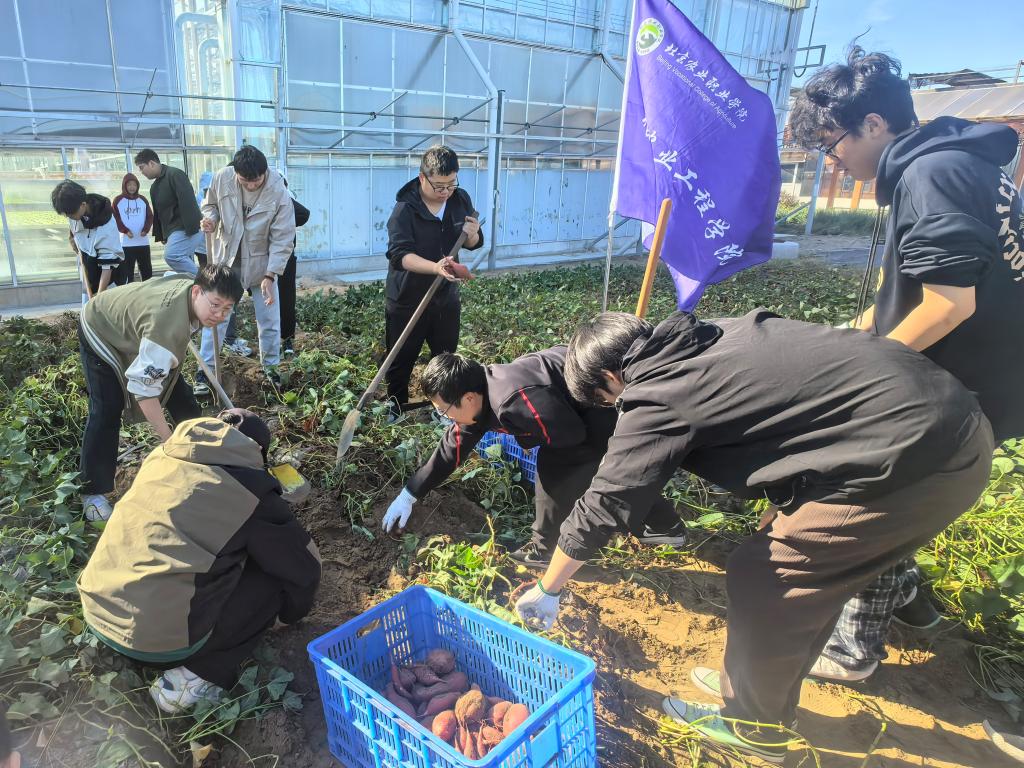 新澳门免费公开资料大全