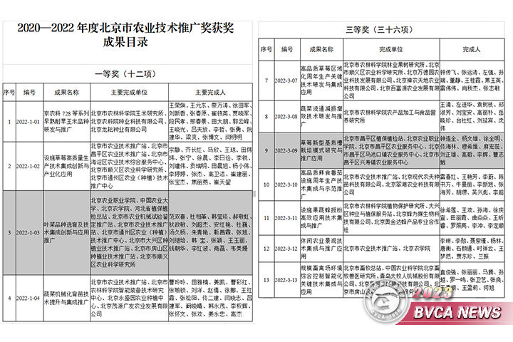 新澳门免费公开资料大全