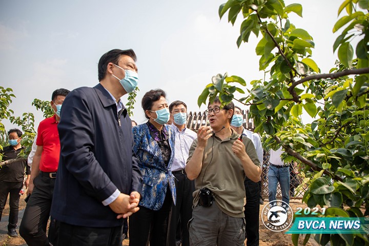 新澳门免费公开资料大全