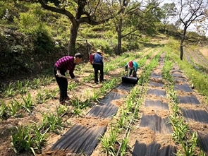 新澳门免费公开资料大全