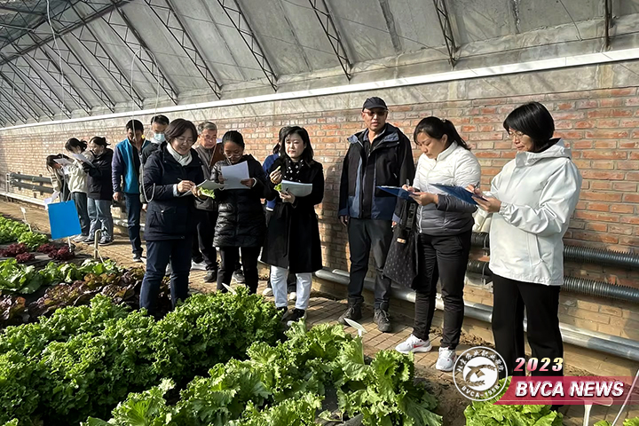 新澳门免费公开资料大全