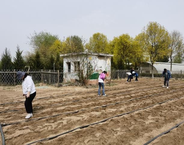 新澳门免费公开资料大全