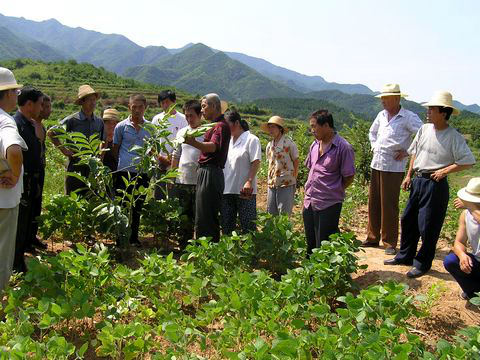 新澳门免费公开资料大全