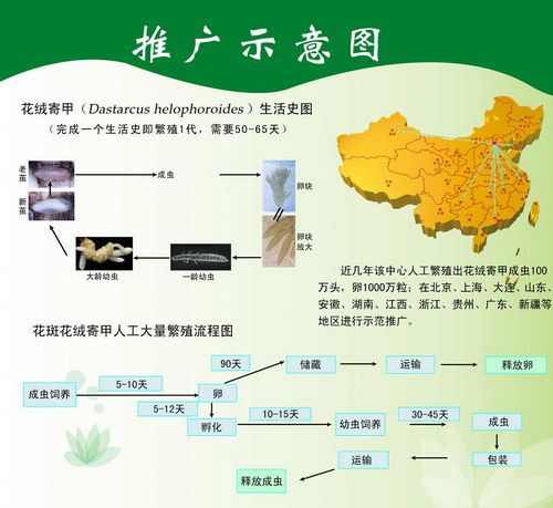 新澳门免费公开资料大全