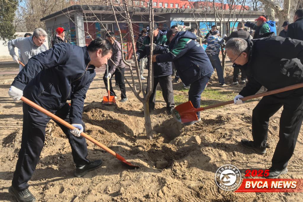 新澳门免费公开资料大全