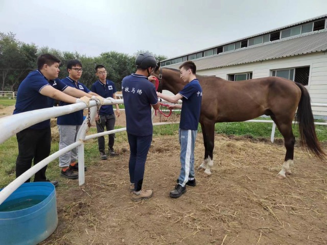 新澳门免费公开资料大全