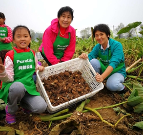 新澳门免费公开资料大全