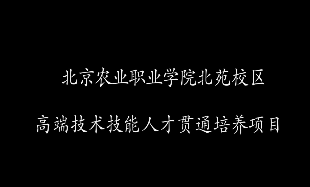 新澳门免费公开资料大全