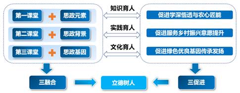 新澳门免费公开资料大全