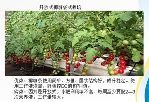 新澳门免费公开资料大全