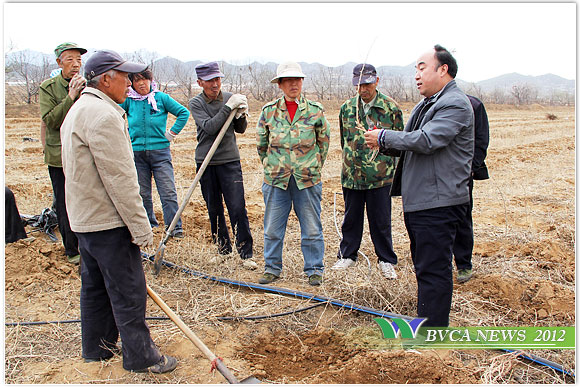 新澳门免费公开资料大全