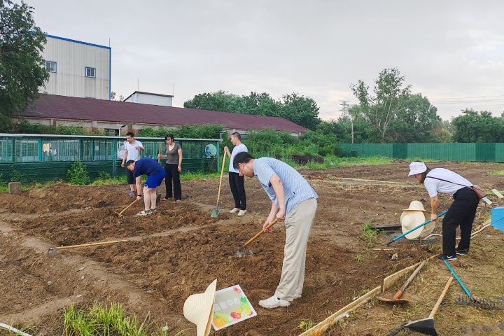 新澳门免费公开资料大全