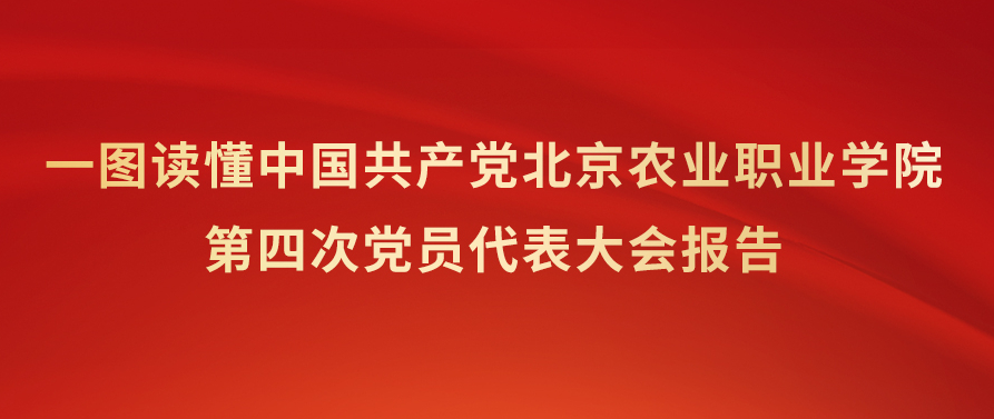 新澳门免费公开资料大全