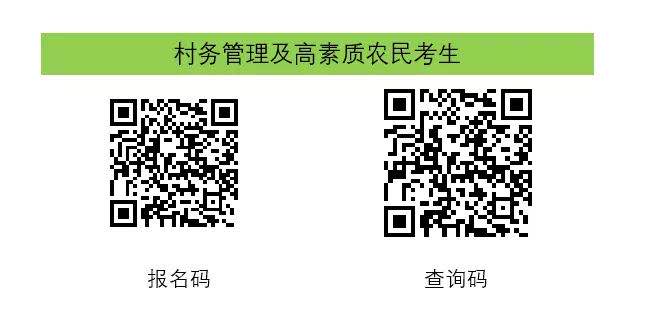 新澳门免费公开资料大全