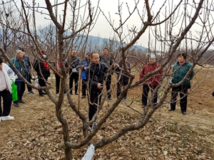 新澳门免费公开资料大全