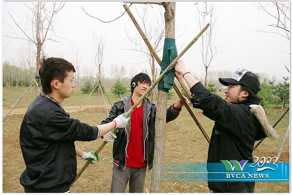 新澳门免费公开资料大全