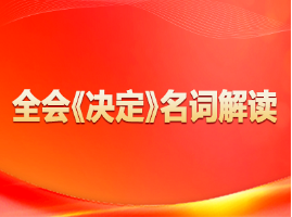 全会《决定》名词解读