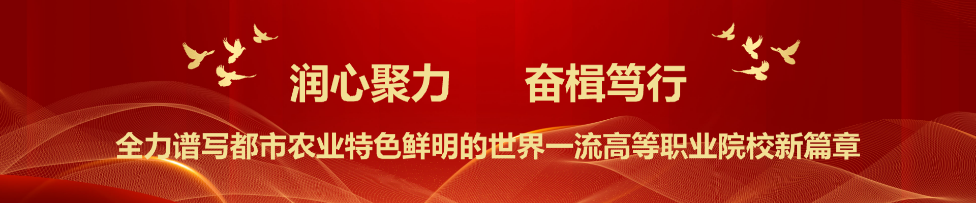 新澳门免费公开资料大全